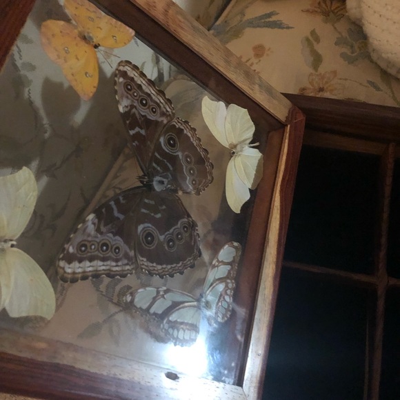 Wooden Box w/Butterflies - 463 $70 or $60 w/offer - Picture 3 of 7